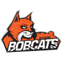 Knight Bobcats School Logo